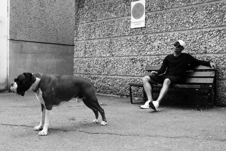 Trettmann veröffentlicht Snippet zu »Reggae Showcase«-Bonus-EP // News