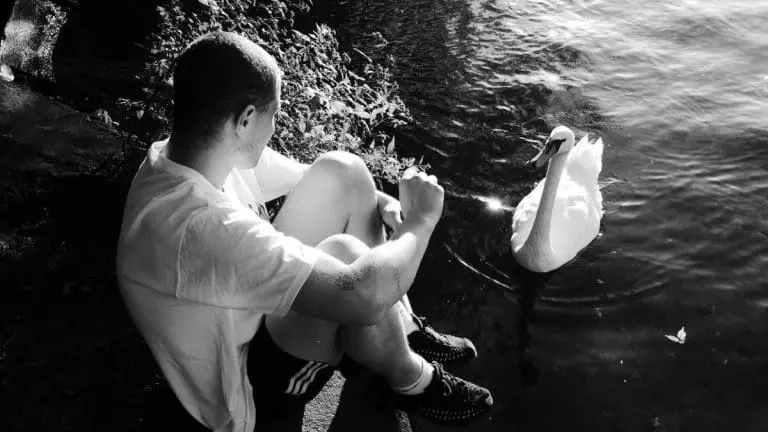 Joey Bargeld x KitschKrieg – 1.11 // Stream