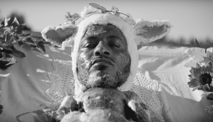 Shabazz Palaces, Quazarz, Sub Pop, Shine a Light