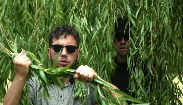 JUICE TV – Die Top Ten JUICE Premieren 2016 // Liste