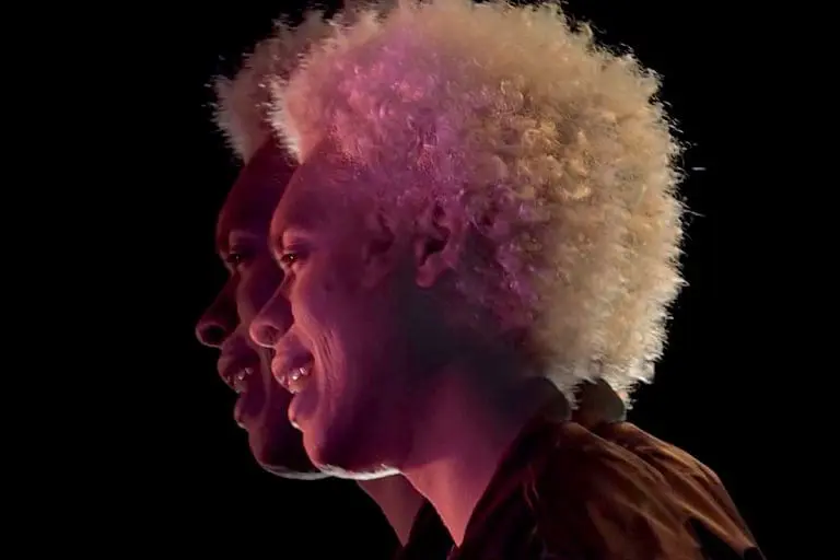 Crack Ignaz – Grüne Dächer