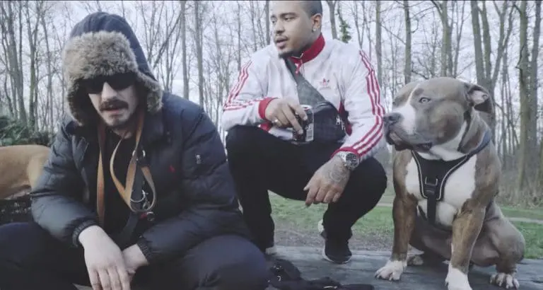Haze feat. Eazyono – Kletter nicht durchs Fenster rein // Video