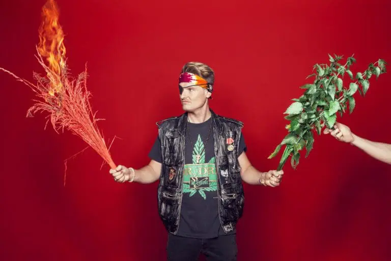 »Ich habe diese Musik gehört und von Liebe geträumt« – Kaas über Boygroups  // Interview