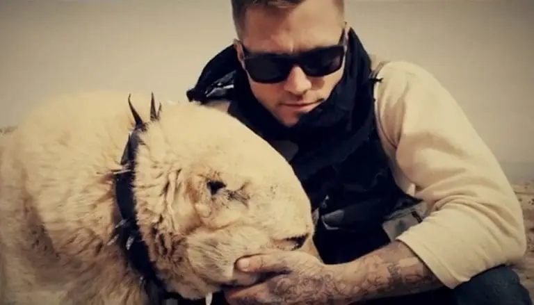 Kontra K – Wölfe [Exklusive Videopremiere]