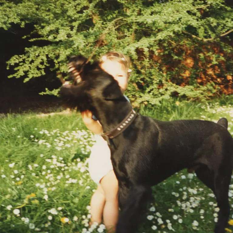 Album der Woche: Lord Folter – 1992day // Review