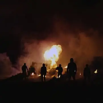 Marteria – Bengalische Tiger (Video)