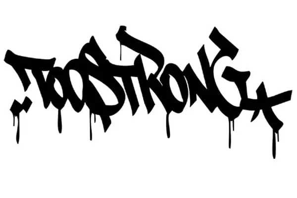 »Die Leute sind satt von diesem HipHop-Ding« // Too Strong im Interview