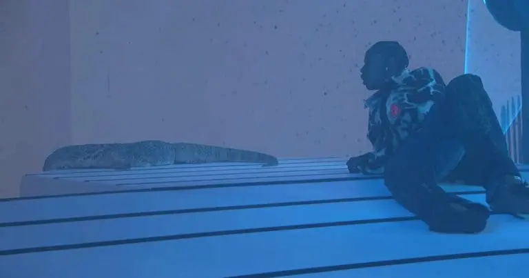 Travis Scott, Quavo und Takeoff performen »Eye 2 Eye« live bei Jimmy Kimmel // Video