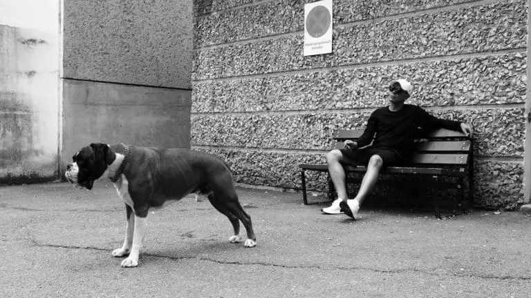 Trettmann: »Was gibt es Schöneres, als wenn sich Styles mischen?« // Feature