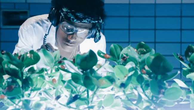 Betty Ford Boys – So Fine [Video]