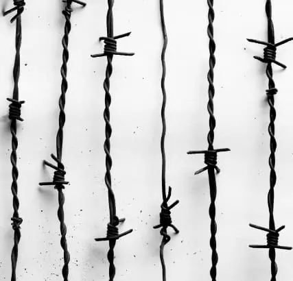 Casper – Lang Lebe Der Tod // Review