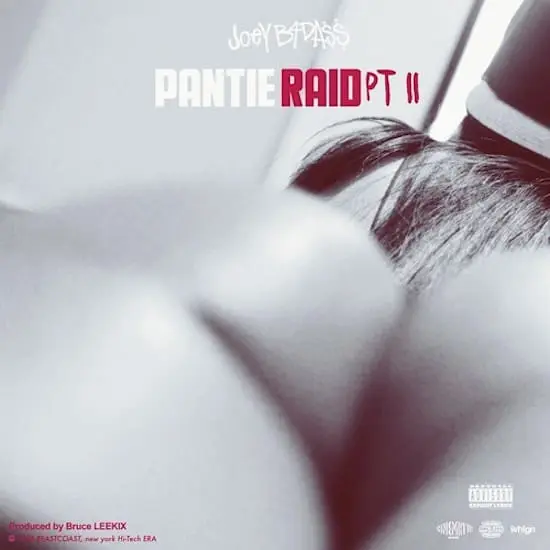 Joey Bada$$ – Pantie Raid Pt.II [Track]