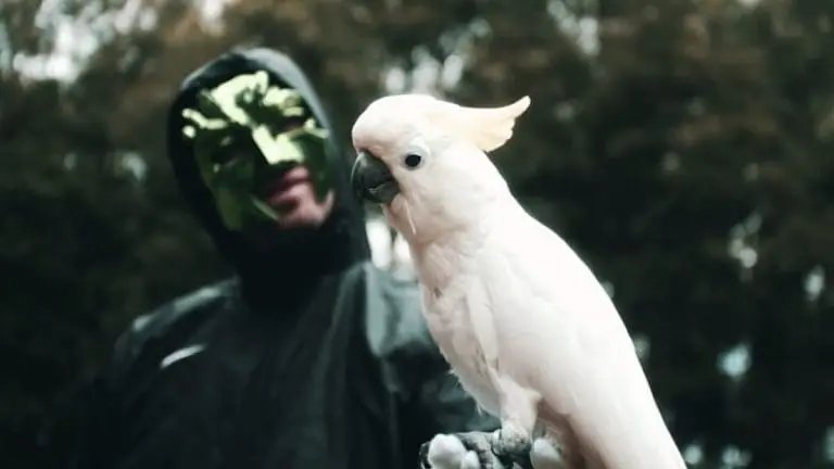 Marsimoto – Solang die Vögel zwitschern gibt’s Musik // Video