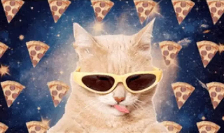 Run The Jewels – All Meow Life (Nick Hook Remix)