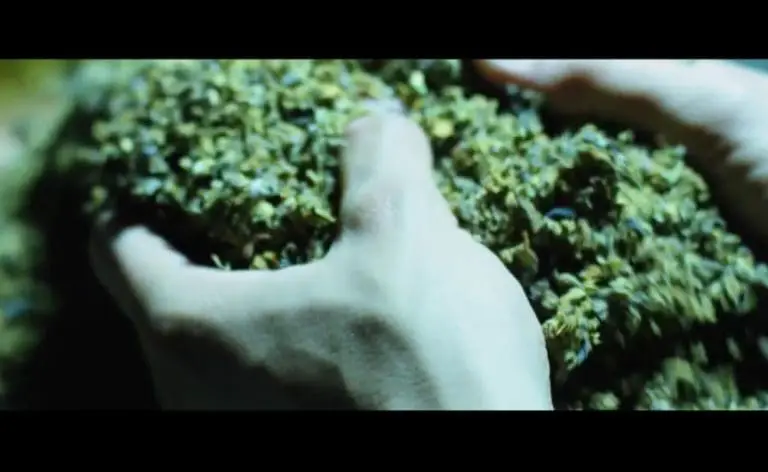 JUICEy Tunes 4/20-Edition mit Haftbefehl, A$AP Rocky, 187 Strassenbande u.v.m.