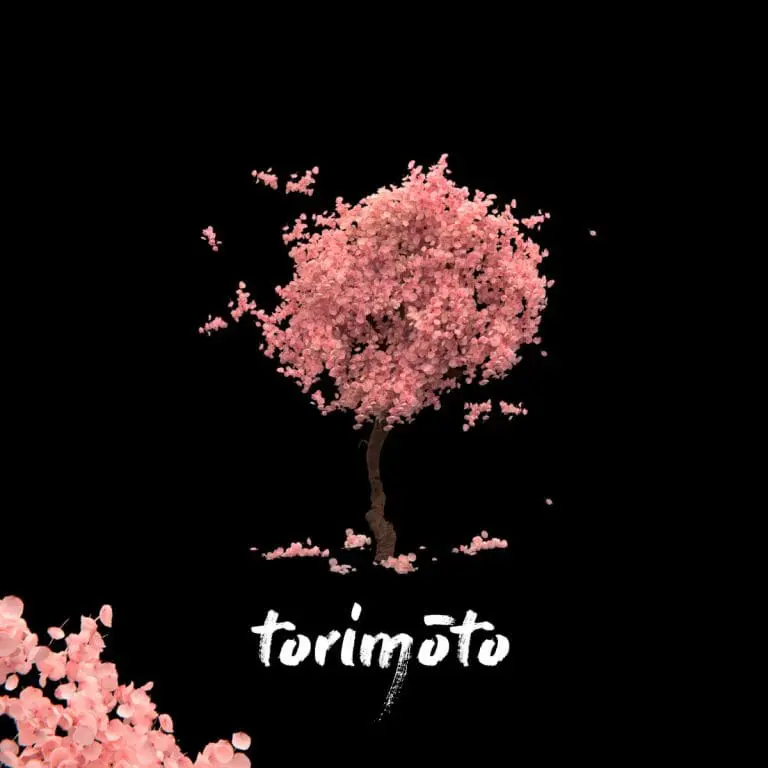 torimōto – II // EP-Stream