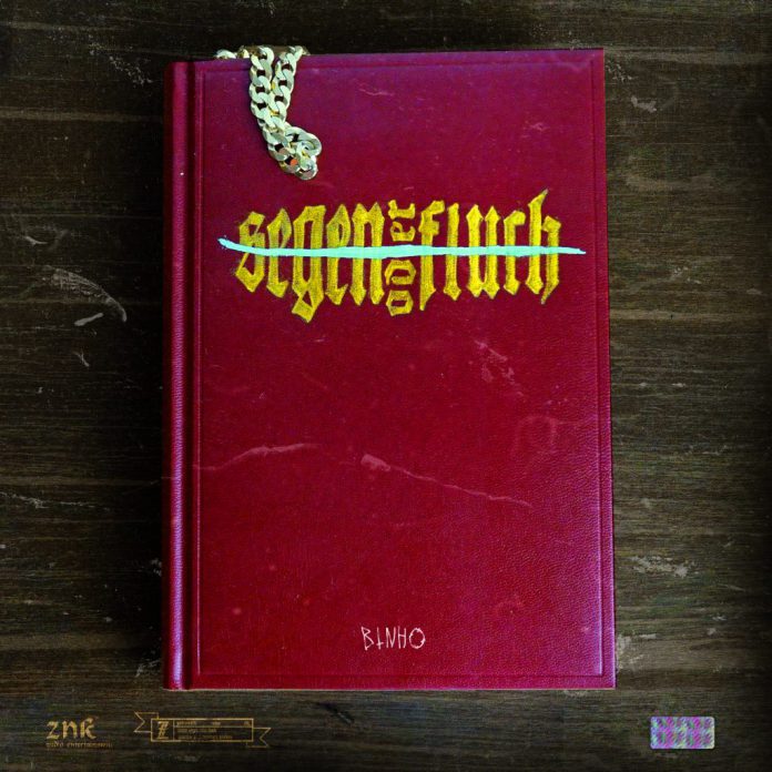 BINHO Segen oder Fluch Cover