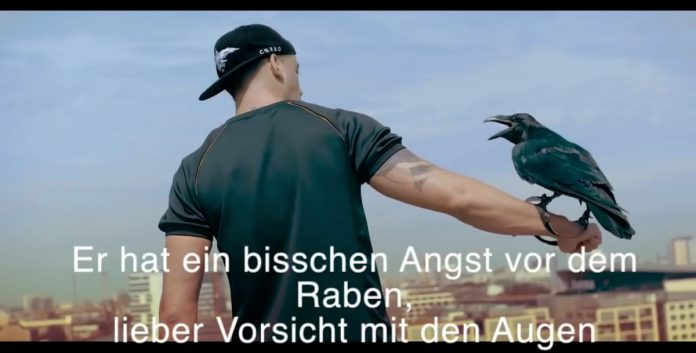 Literal-Video-Palmen