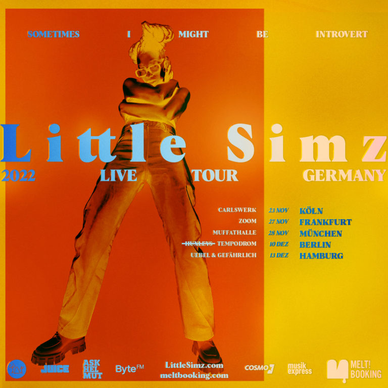 Little Simz kommt mit »Sometimes I Might Be Introvert« nach Deutschland // Live