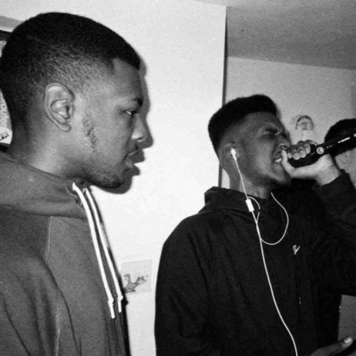 Novelist