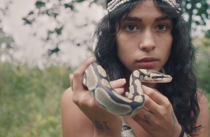 princess-nokia