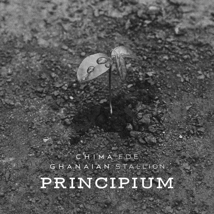 principium_cover_