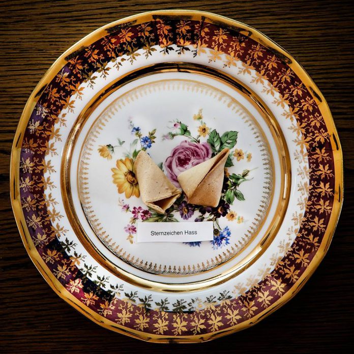 sternzeichen-hass-audio88