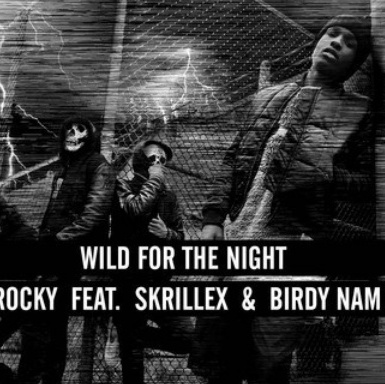 A$AP Rocky ft. Skrillex & Birdy Nam Nam – Wild For The Night